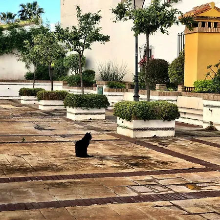 Casa Giuliani Perfect Place To By The * 托雷莫利诺斯