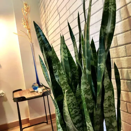 公寓 Casa Giuliani Perfect Place To By The *