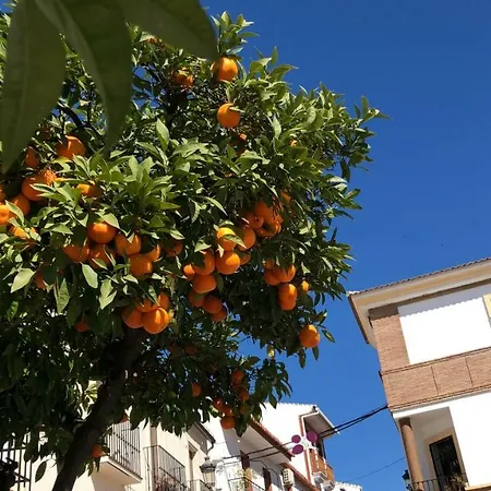 Apartamento Casa Giuliani Perfect Place To By The *