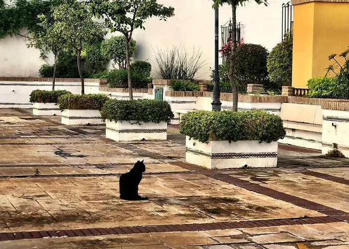 Casa Giuliani Perfect Place To By The * توريمولينوس