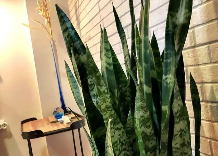 شقة Casa Giuliani Perfect Place To By The *