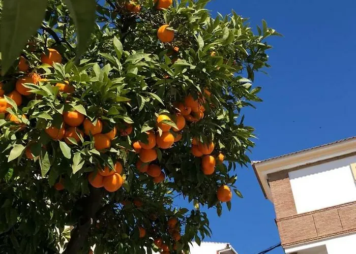 דירה Casa Giuliani Perfect Place To By The *